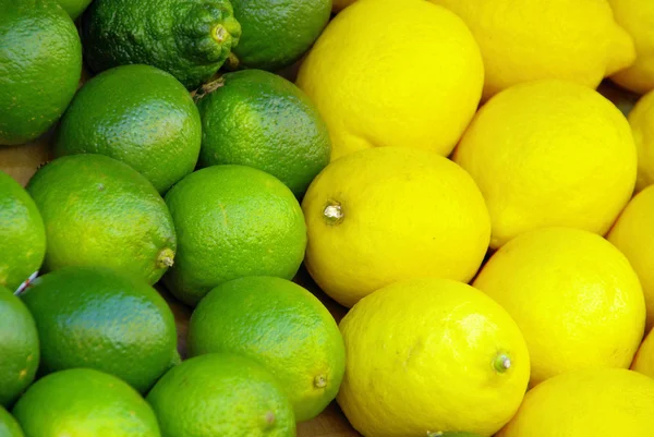 Lime citrous 02 — Stock Photo, Image