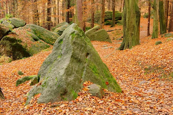 砂岩岩石在森林 20 — 图库照片