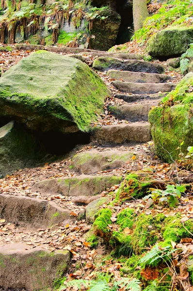 Steps from sandstone 01 — Stock Photo, Image