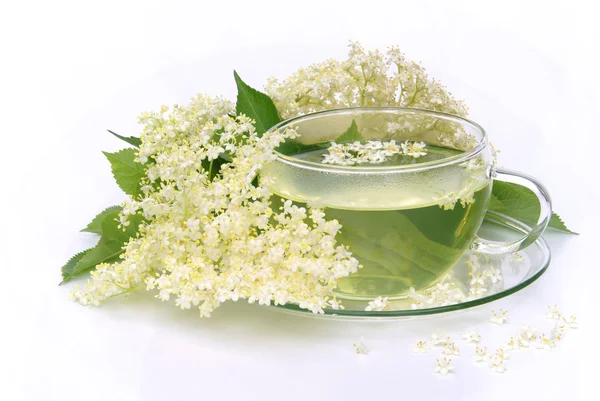 Tea elder flower 04 — Stock Photo, Image