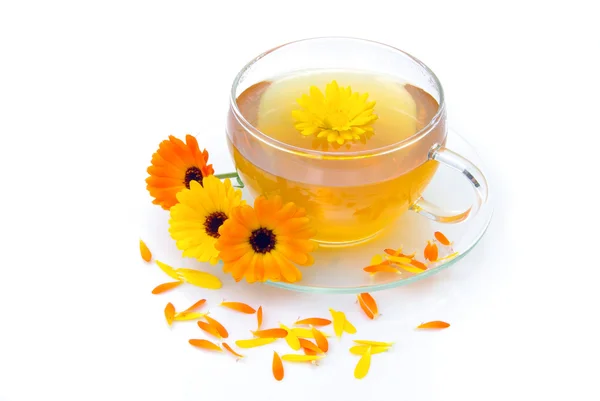 Tea marigold 09 — Stock Photo, Image