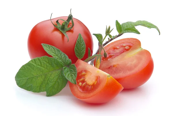 Tomate 18 — Photo