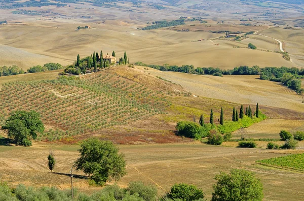 Podere in fall 19 — Stock Photo, Image