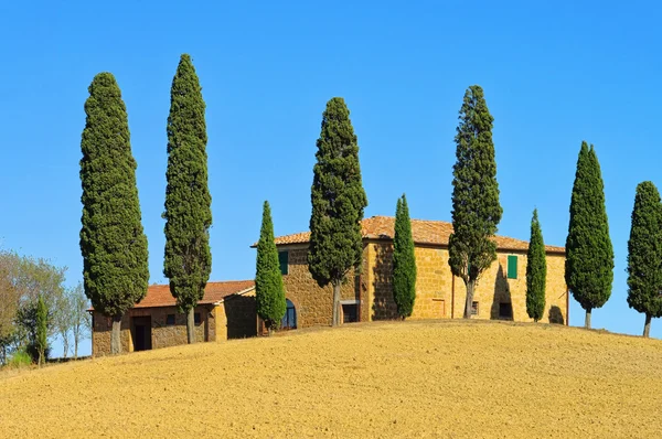 Podere in fall 23 — Stock Photo, Image