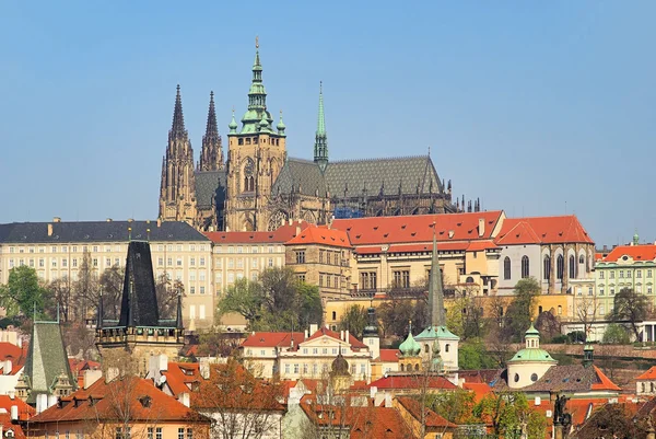 Prag katedralen 06 — Stockfoto