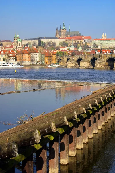 Cattedrale di Praga 07 — Foto Stock