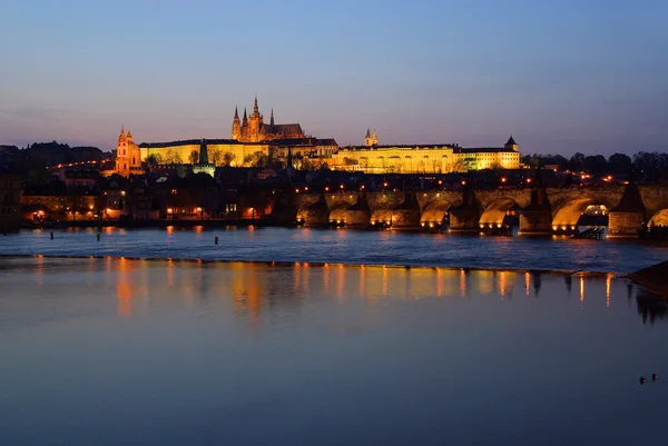 Praga noite catedral 03 — Fotografia de Stock