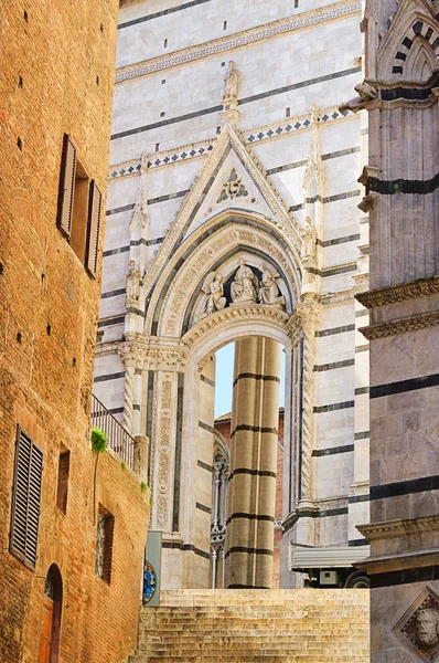 Siena katedrála detail 01 — Stock fotografie