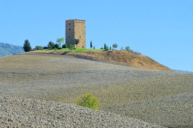 Torre Taruga 02