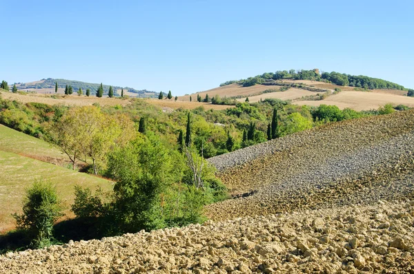 Stock image Tuscany hills in fall 08