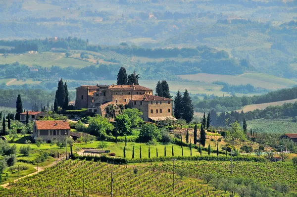 Toscane wijngaard 04 — Stockfoto