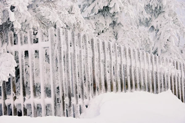 Забор зимой 02 — стоковое фото