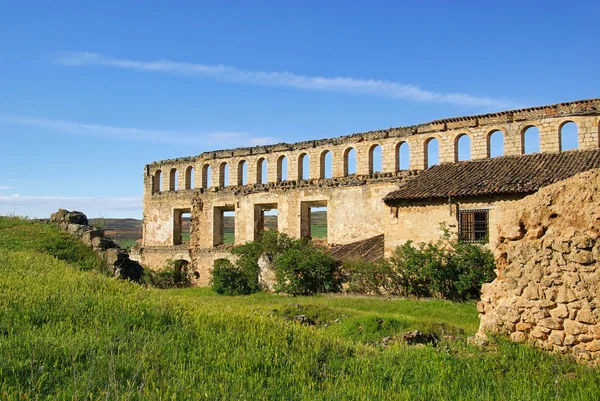 Castillo de Berlanga de Duero 12 — Fotografia de Stock