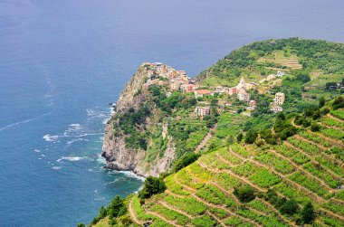 Cinque Terre Corniglia 04 clipart