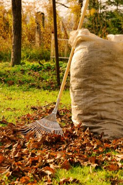 Leaves rake 12 clipart