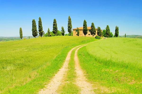 Дом в Тоскане и кипарисы — стоковое фото