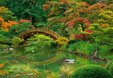 Japanese Garden clipart