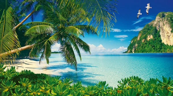 Paraíso tropical — Fotografia de Stock