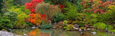 Japon bahçe panoramik manzaralı