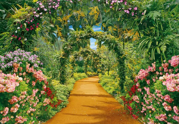 Flower alley with flower arches — Stock Photo, Image