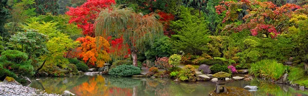 Panoramisch uitzicht op de Japanse tuin — Stockfoto