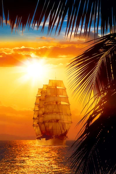 stock image Sailing ship at sunset