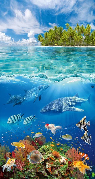 Underwater world and tropical island — Stock Photo, Image