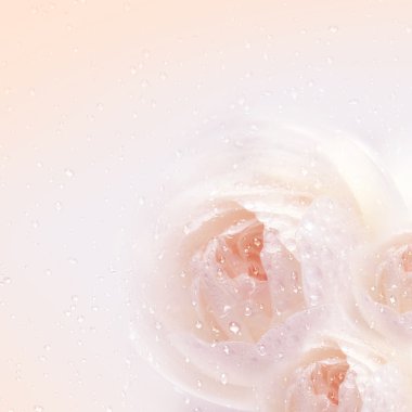 Rose covered with water drops clipart