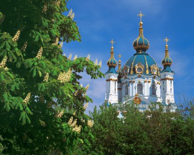 Saint Andrew's Church in Kiev, Ukraine clipart