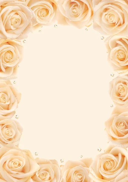 奶油玫瑰帧 — 图库照片