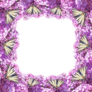 Swallowtail on the lilac frame clipart