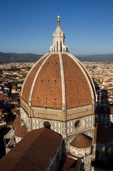 Catedral de la Cúpula de Florencia vista desde el campanario — Foto de Stock