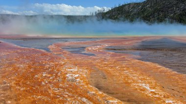 Grand Prizmatik Bahar, yellowstone