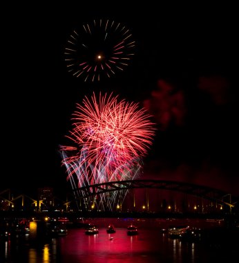 Firework over the Rhine river