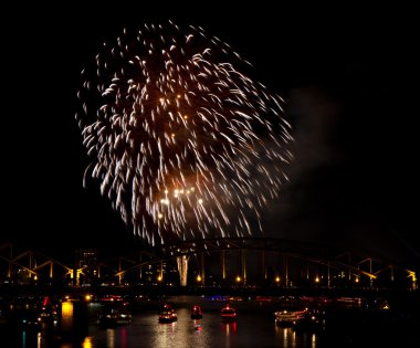 Firework over the Rhine river