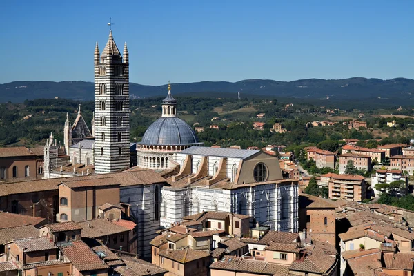 Catedral de Siena Santa Maria Assunta — Foto de Stock