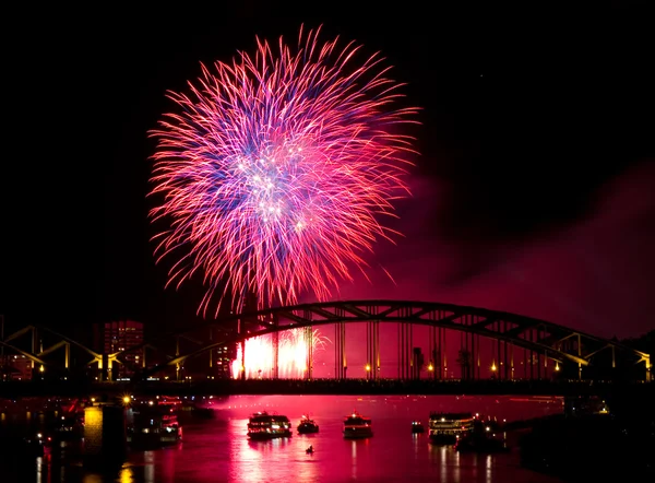 Kembang api di atas sungai Rhine — Stok Foto