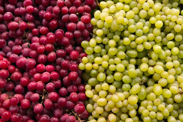 stock image Green and red grapes