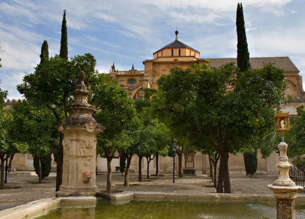 Patio de los naranjos de la mezquita, Córdoba — Stockfoto
