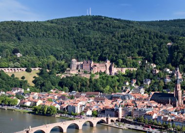 Panorama of Heidelberg clipart