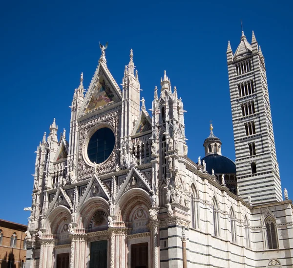 Den romanske katedralen Siena – stockfoto