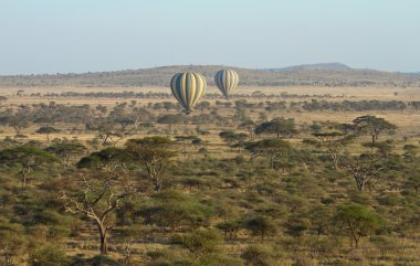 Balonlar serengeti üzerinde