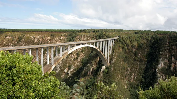 stock image Bloukrans River Bridge