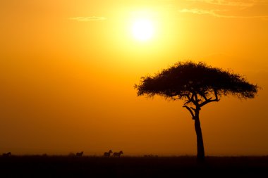 Dusk in the Masai Maria National Reserve clipart