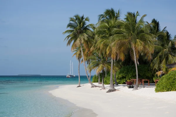 Palmy i biały piasek plaży, Malediwy — Zdjęcie stockowe