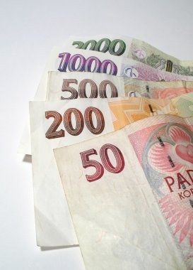 Çek banknotlar ile çanta