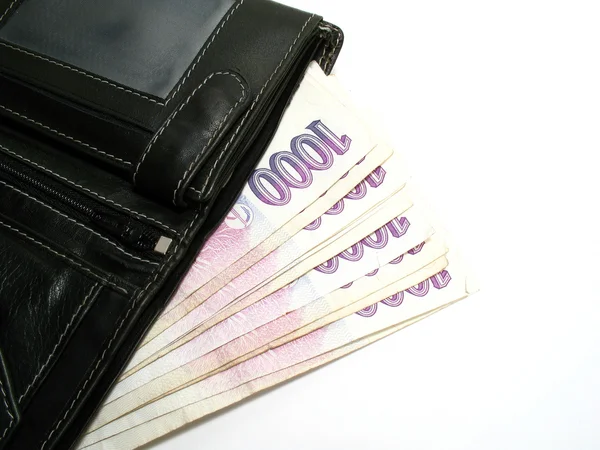 Purse with czech banknotes — Stock Photo, Image