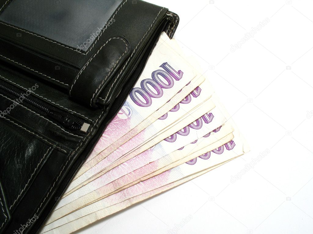 Purse with czech banknotes