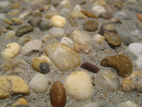 石の表面の地面 — ストック写真