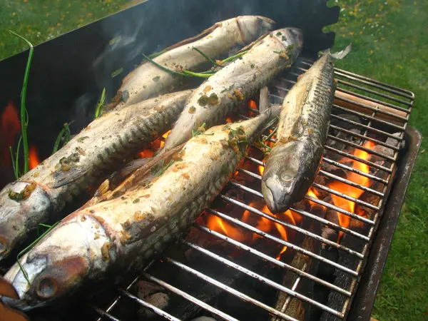 stock image Barbecue